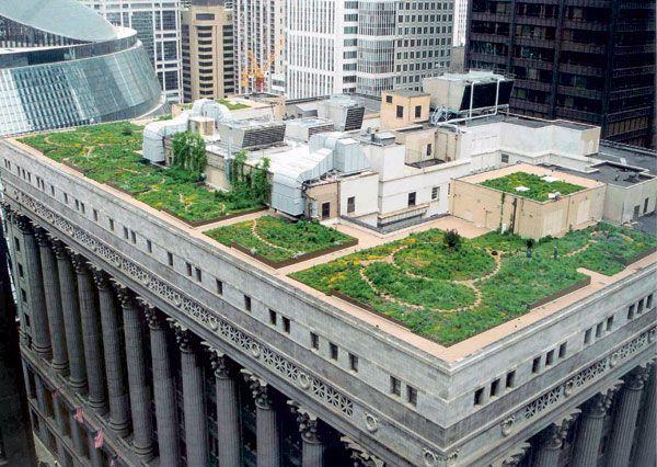 Green Living Roof on Chicago's City Hall.