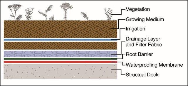 Layers of a Green Living Roof. 
Vegetation layer. Growing Medium layer, Irrigation Layer, Drainage Layer and Filter Fabric, Root Barrier layer, Waterproofing Membrane layer, and the structural deck. 