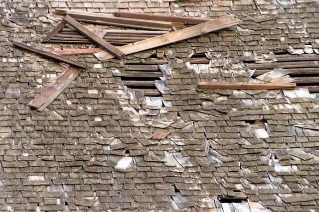 Damaged roof showing decay and rotting