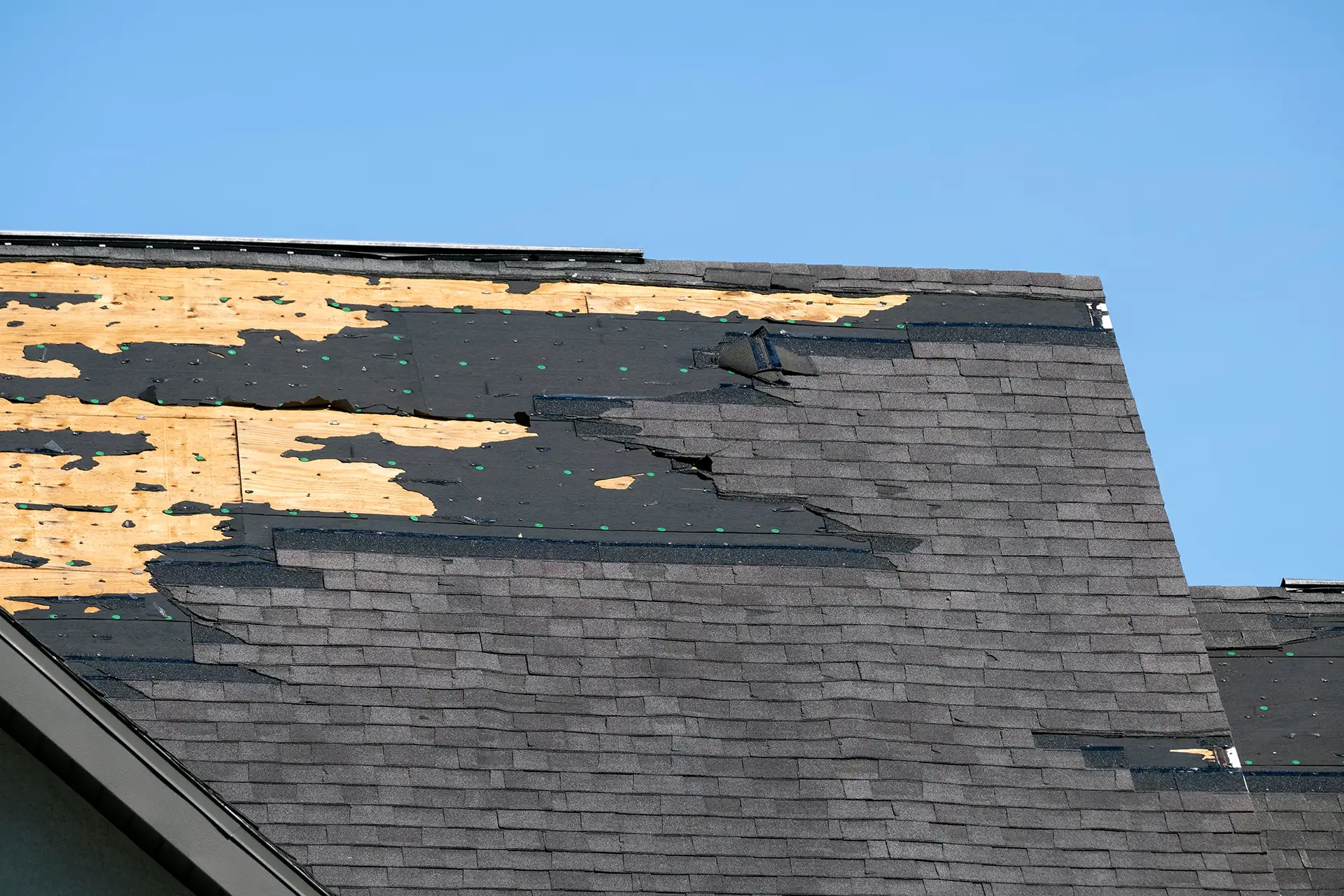 missing asphalt shingles on a roof